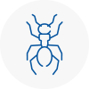 Ant Removals In Arnold