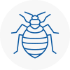 Bed Bug Extermination In Arnold