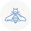 Bee Nest Removal Arnold
