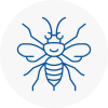 Arnold Hornet Nest Removals