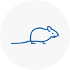 Mice Exterminators In Arnold