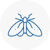Moth Control Specialists In Arnold