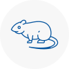 Rat Control Arnold