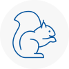Arnold Rodent Removals
