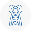 Arnold Wasp Nest Removal